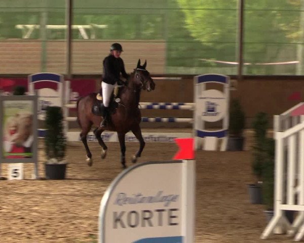 Reitturnier Telgte-Lauheide 2023