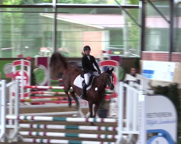 Reitturnier Telgte-Lauheide 2023
