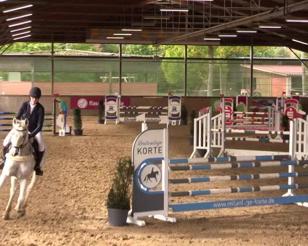 Reitturnier Telgte-Lauheide 2023