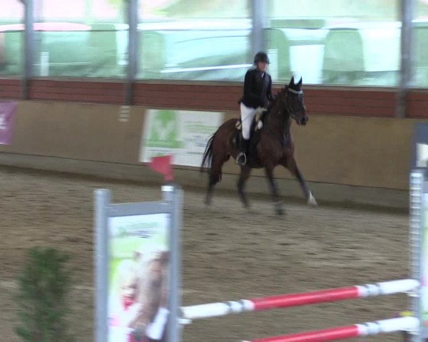 Reitturnier Telgte-Lauheide 2023
