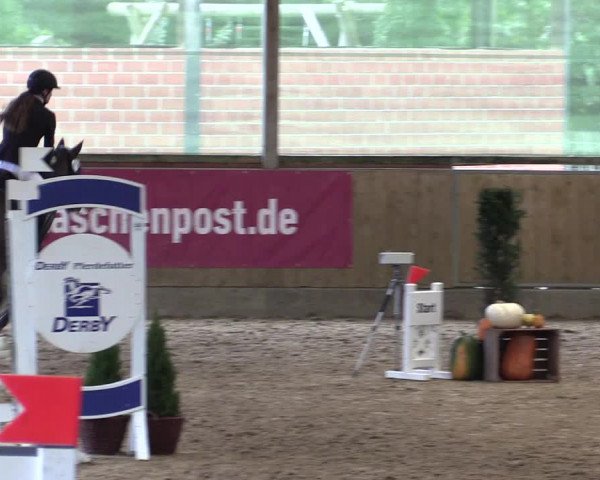 Reitturnier Telgte-Lauheide 2023