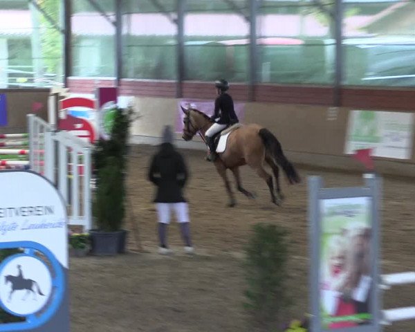 Reitturnier Telgte-Lauheide 2023