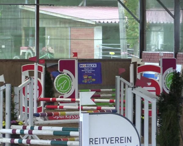 Reitturnier Telgte-Lauheide 2023