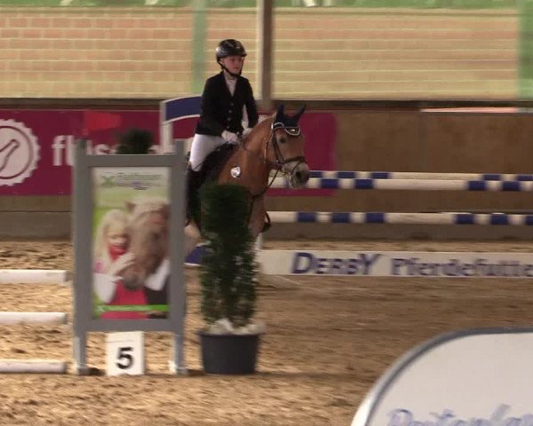 Reitturnier Telgte-Lauheide 2023