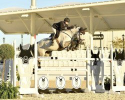 horse Cailan WEF (Holsteiner, 2013, from Contefino)