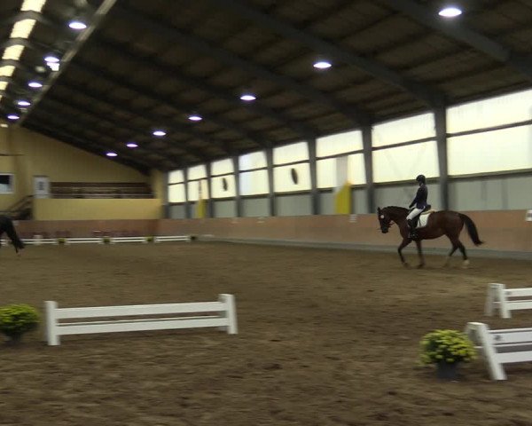Reitturnier Frechen-Grefrath - Sonnenhof 2023