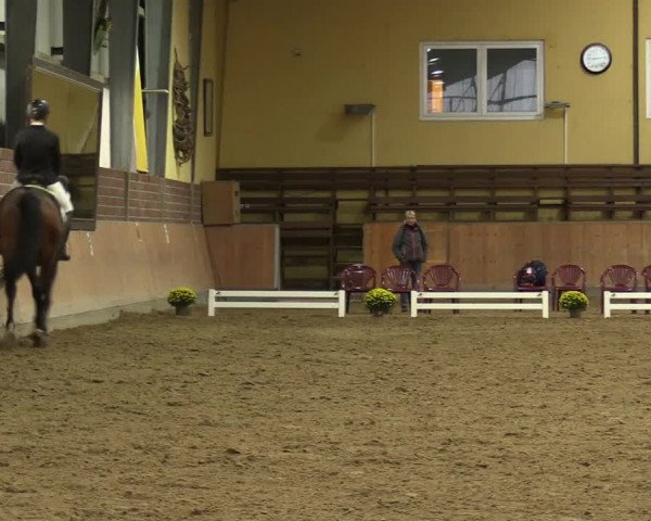 Reitturnier Frechen-Grefrath - Sonnenhof 2023