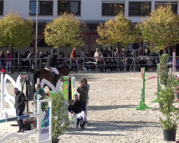 Reitturnier Achern 2023