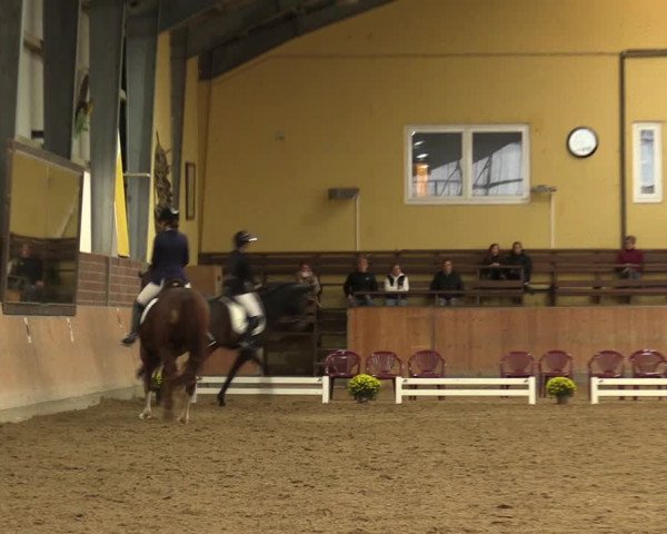 Reitturnier Frechen-Grefrath - Sonnenhof 2023