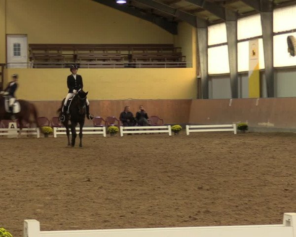 Reitturnier Frechen-Grefrath - Sonnenhof 2023