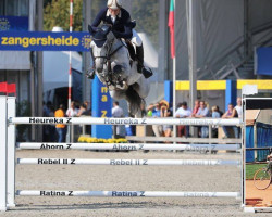 Deckhengst Comfortuna VDL (KWPN (Niederländisches Warmblut), 2009, von Berlin)