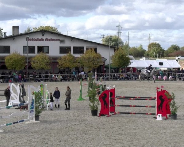 Reitturnier Achern 2023
