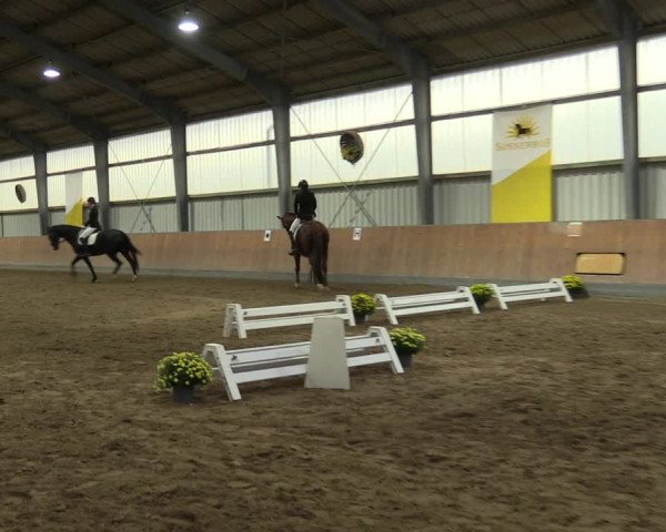 Reitturnier Frechen-Grefrath - Sonnenhof 2023