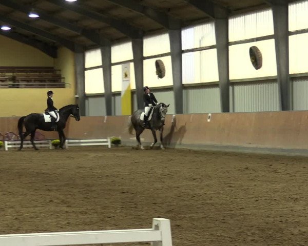 Reitturnier Frechen-Grefrath - Sonnenhof 2023