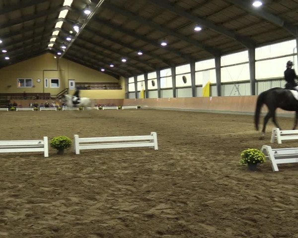 Reitturnier Frechen-Grefrath - Sonnenhof 2023