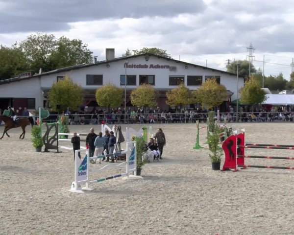 Reitturnier Achern 2023