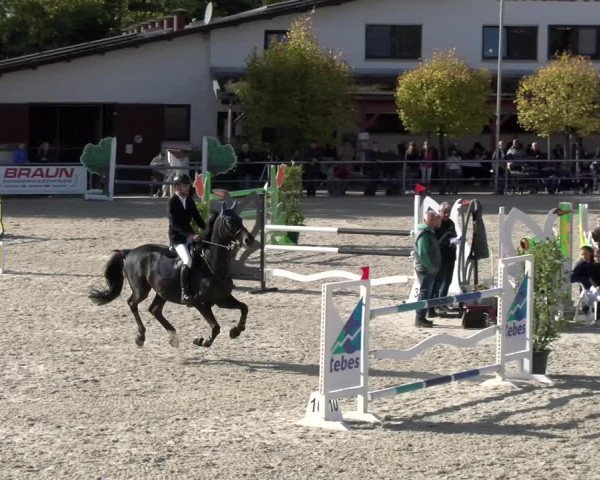 Reitturnier Achern 2023