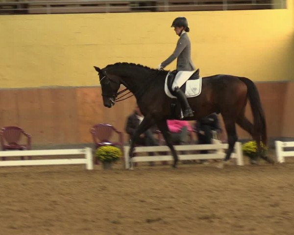 Reitturnier Frechen-Grefrath - Sonnenhof 2023
