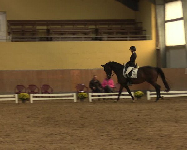 Reitturnier Frechen-Grefrath - Sonnenhof 2023