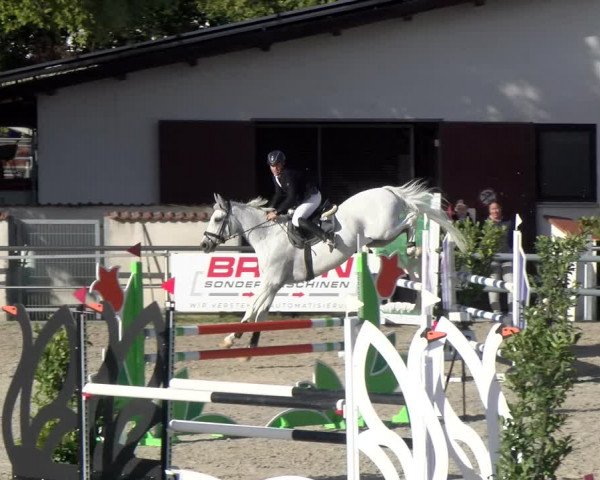 Reitturnier Achern 2023