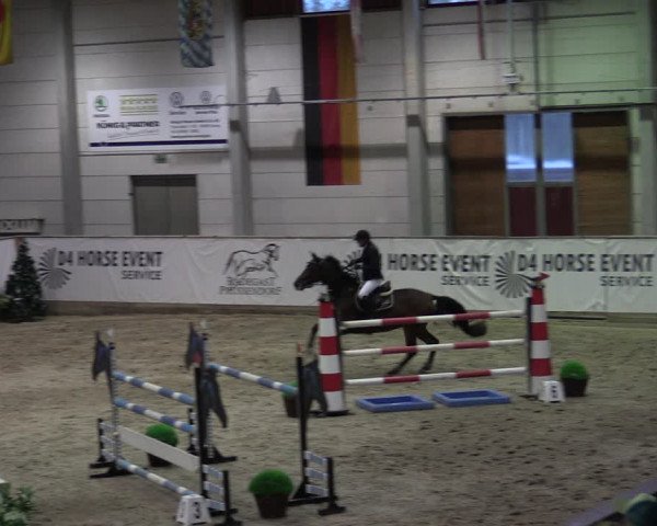 Reitturnier Prussendorf 2023