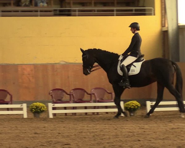 Reitturnier Frechen-Grefrath - Sonnenhof 2023