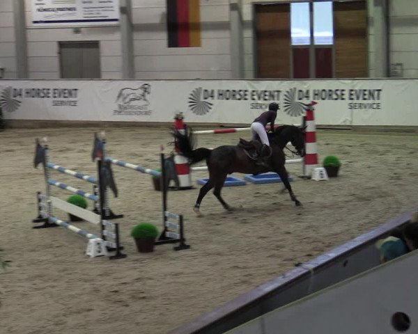 Reitturnier Prussendorf 2023