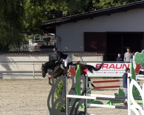 Reitturnier Achern 2023