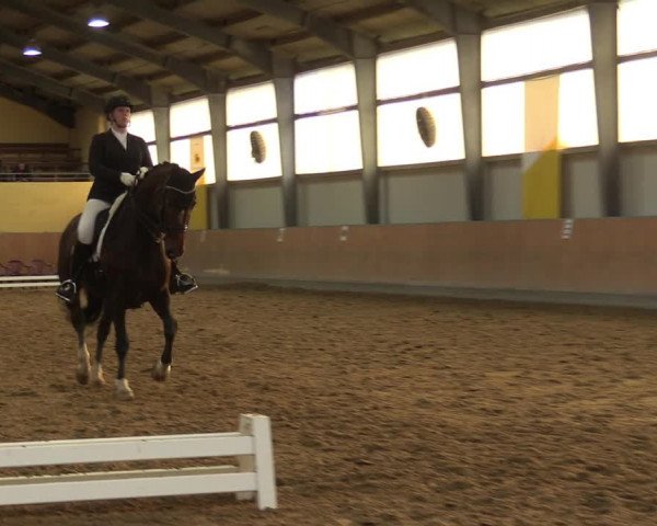 Reitturnier Frechen-Grefrath - Sonnenhof 2023