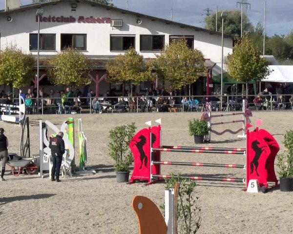 Reitturnier Achern 2023
