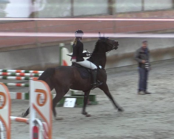Reitturnier Tremsdorf, Eichenhof 2023