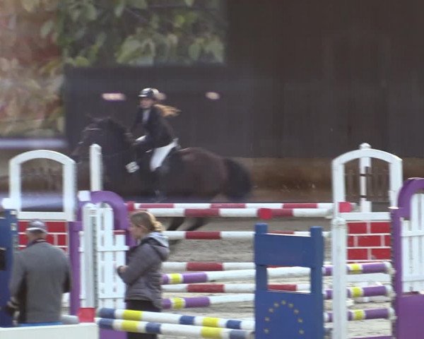 Reitturnier Tremsdorf, Eichenhof 2023