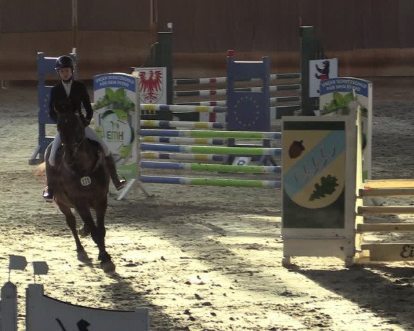 Reitturnier Tremsdorf, Eichenhof 2023