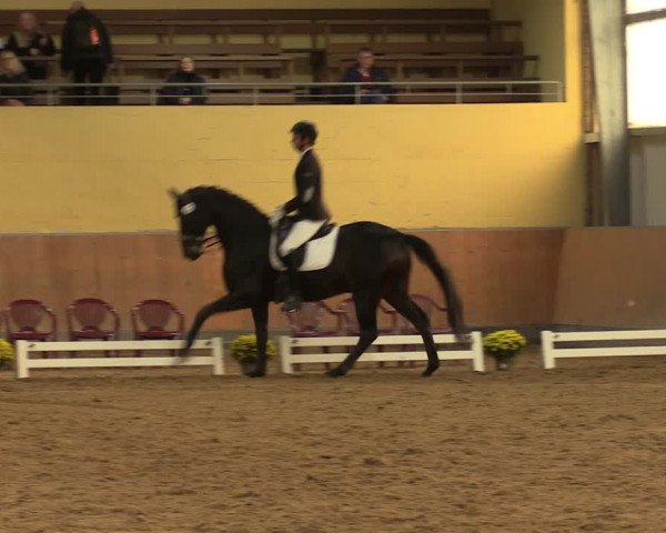 Reitturnier Frechen-Grefrath - Sonnenhof 2023