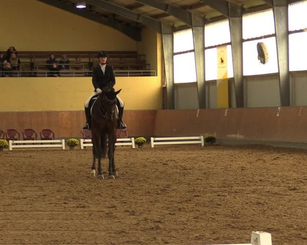 Reitturnier Frechen-Grefrath - Sonnenhof 2023