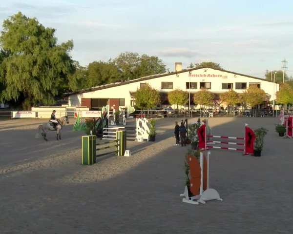 Reitturnier Achern 2023