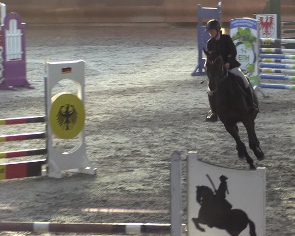 Reitturnier Tremsdorf, Eichenhof 2023