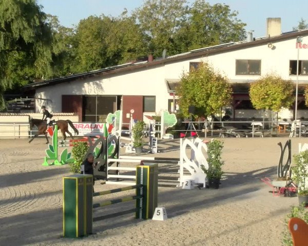 Reitturnier Achern 2023