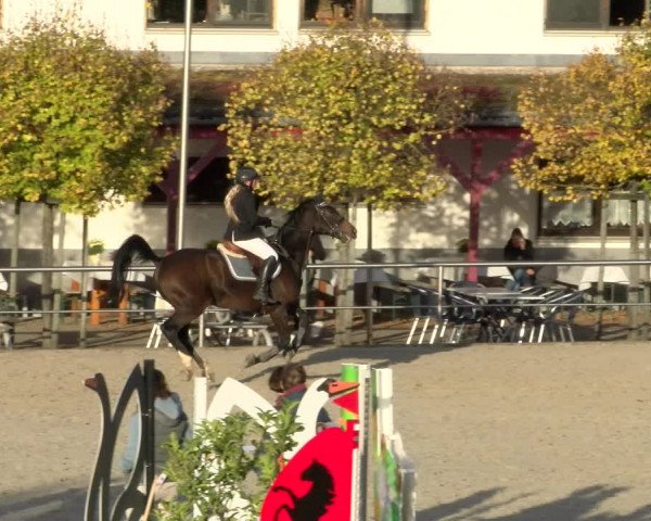 Reitturnier Achern 2023