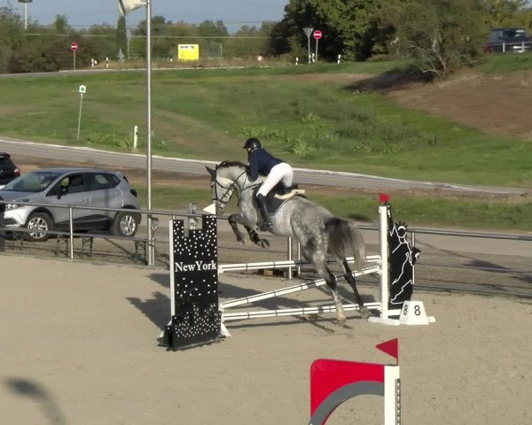 Reitturnier Achern 2023