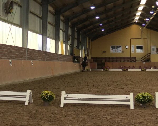 Reitturnier Frechen-Grefrath - Sonnenhof 2023