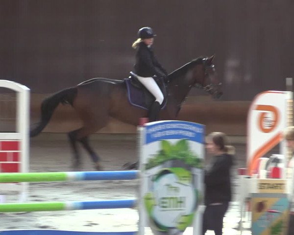 Reitturnier Tremsdorf, Eichenhof 2023