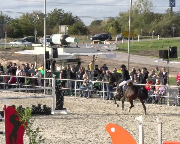 Reitturnier Achern 2023