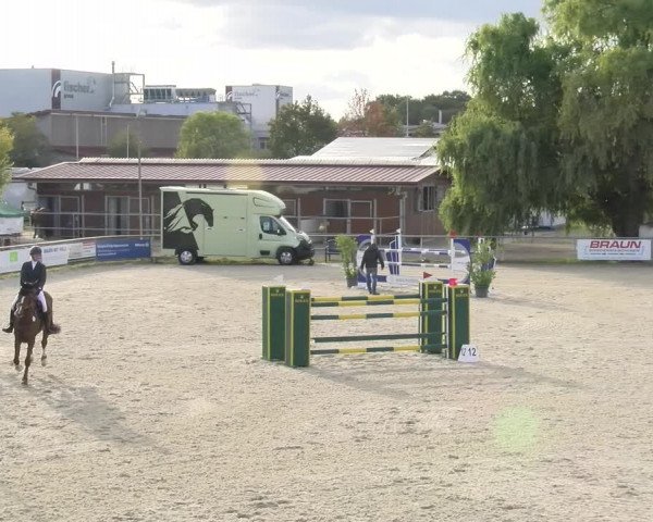 Reitturnier Achern 2023