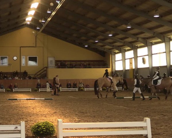 Reitturnier Frechen-Grefrath - Sonnenhof 2023