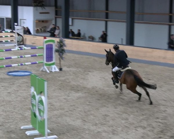 Reitturnier Borken 2023