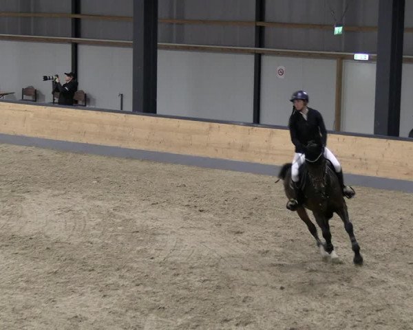 Reitturnier Borken 2023