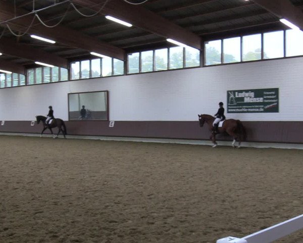 Reitturnier Lembeck-RA Elwermann 2023
