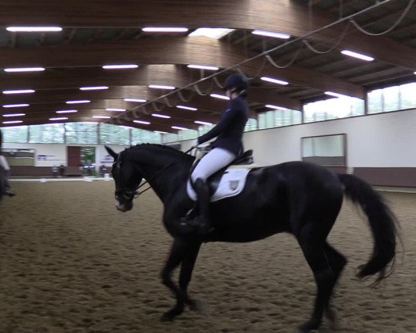 Reitturnier Lembeck-RA Elwermann 2023