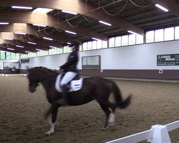 Reitturnier Lembeck-RA Elwermann 2023